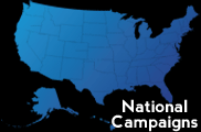 National Lead Campaigns
